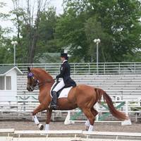 Leah Wilson Victory Gallop Blainville CDI